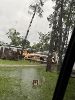 Crushed Coaches office by the tree