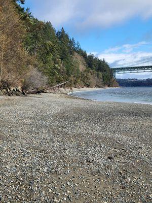 Downed trees make the walk shorter...unless you're feelin' lucky!