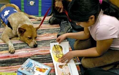 Kids can read to therapy dogs at the Himmel Branch Library