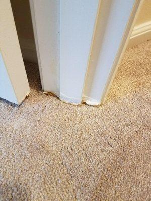 Damage done by carpet installer