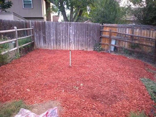 over grown dirt lot with 3 foot tall thistles to now a transformed peice of property.