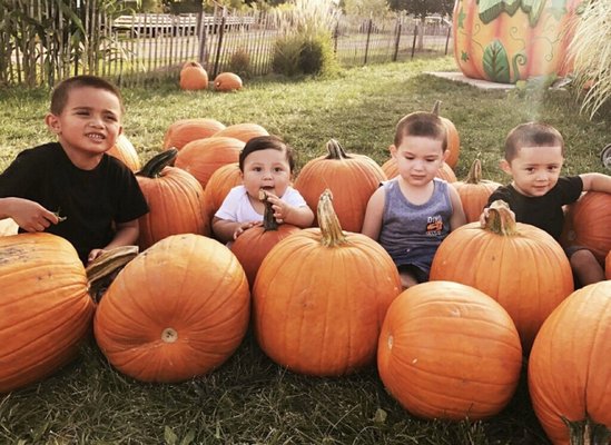 My nephews during a visit