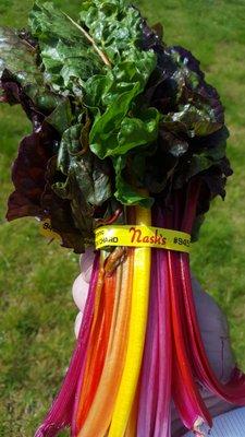 The beautifully-colored rainbow chard from Nash's Organic Produce