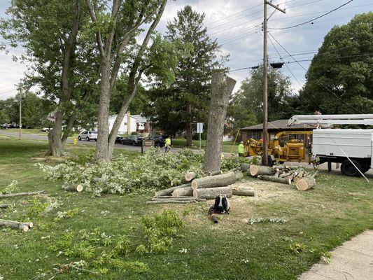 Clearing and removing debris