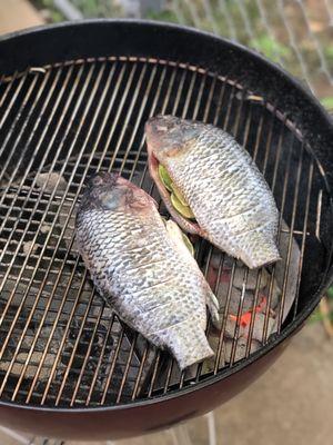 Fresh fish! Picked up some fresh fish on a weeknight to grill. This may have been one of our most favorite meals of the summer. Aug 2020