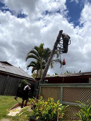 Hawaiian Style Home & Landscaping