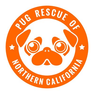 Adopt from the # 1 Pug Rescue in California ...