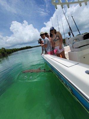 rental boat Key West | fishing charters | water tours | Rental Boat | Sunset Tour | Private Boat Charters Key West | Boat Charters Florida