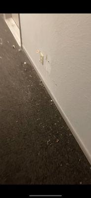 Dirty floors and torn off outlet cover in hallways.