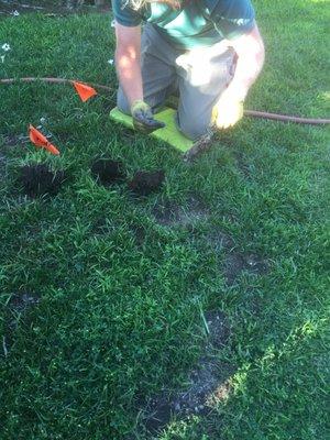 Gopher being dug out