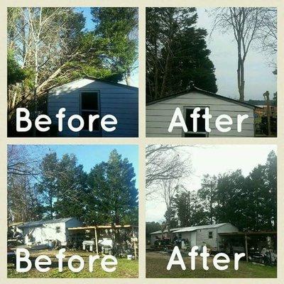 Davenport Tree Service