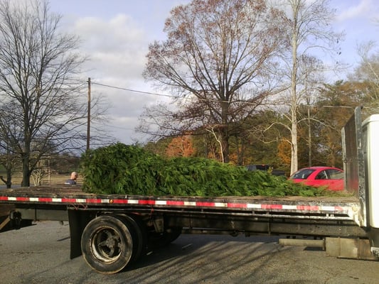 Longleaf Lawn Care