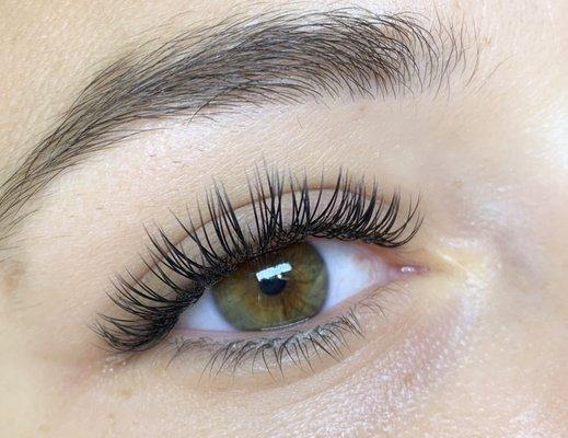 Classic Lashes