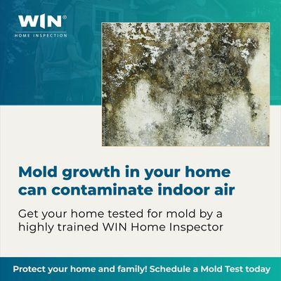 Mold