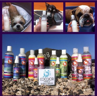 learn dog skincare with Cocojor online and free consultation