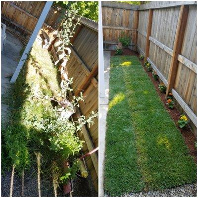 Grow's Professional Landscaping