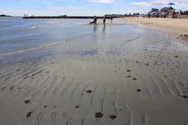 Low tide