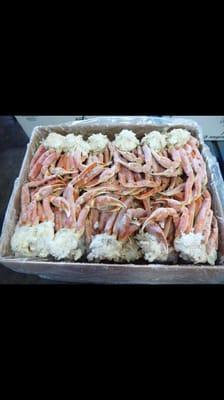 Snow Crab