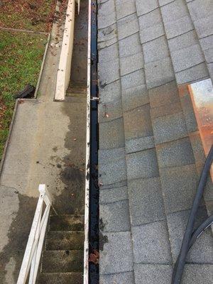 Gutter Cleaning (Before)