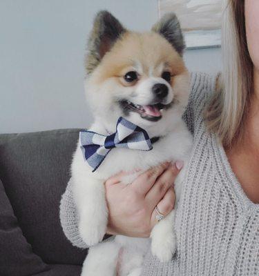 Carl and the handsome bowtie they gave him