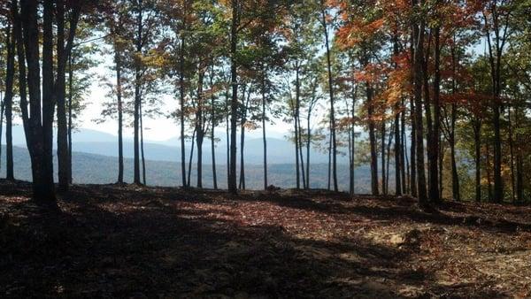 A gorgeous place for field work in Windham, NY.