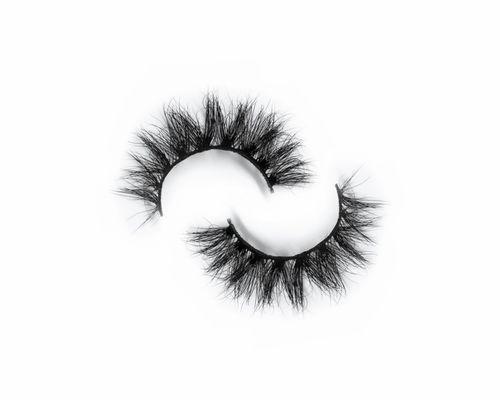 Absolute False Eyelashes