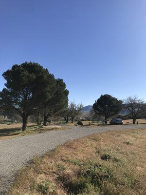 Looking down the camp loop