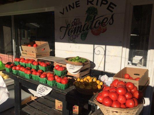 Local tomatoes