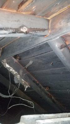 fire damaged attic-Bethany Realty Inspection- Home Inspection East Texas