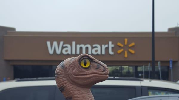 Bob the Raptor Says "Mammals come here to get all kinds of stuff."