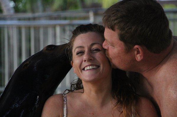 Sea Lion swim on our honeymoon!