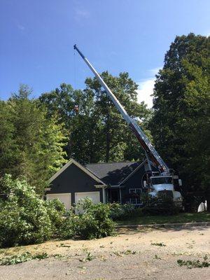 Allen Tree Service