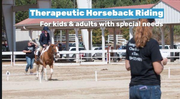 Therapeutic Horseback Riding for kids & adults with special needs in the North Atlanta / Fulton / Cobb / Forsyth area.