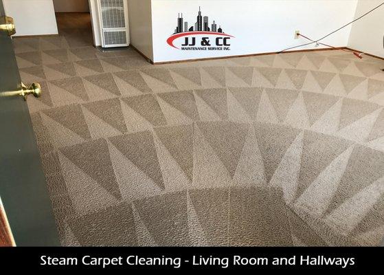 Steam Carpet Cleaning at Living Room and Hallway