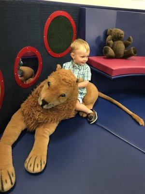 Riding the lion