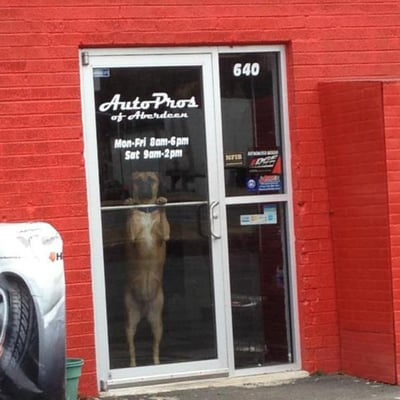 Titus is the AutoPros greeter