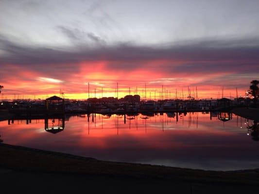 Halifax Harbor Marina