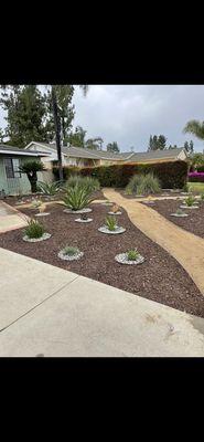 Hardscaping low maintenance plants and mulch