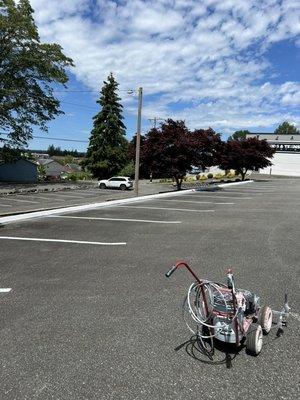 White curb with parking lines