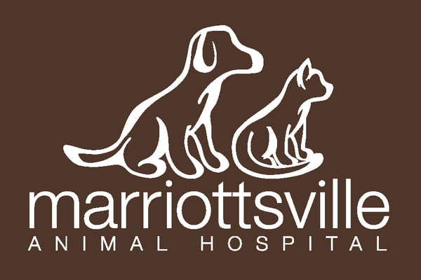 Marriottsville Animal Hospital