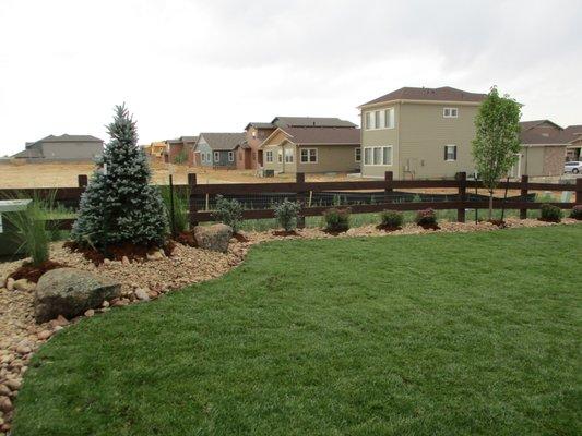 Complete Back Yard Landscape Installation Irrigation, Sod, Plantings Pavestone Patio