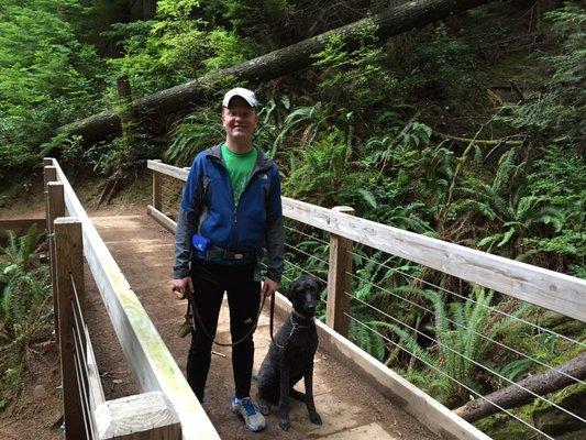 Taking our other office poodle, lady, on a hike at Tiger Mountain. Always need to make sure to enjoy our beautiful area!