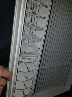 Inside a/c unit with mold (was even recently cleaned)