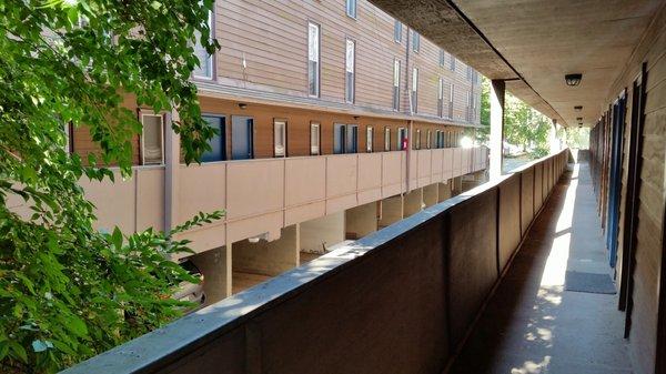 Exterior entrances to the 4 bedroom townhouses at 711 W Elm in Urbana.