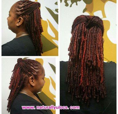 Loc Retwist & Color