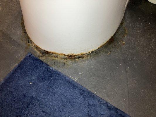 Larger photo of the toilet leak.