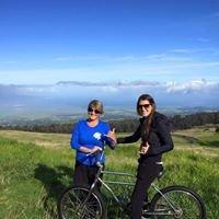 Biking down from Haleakala Crater