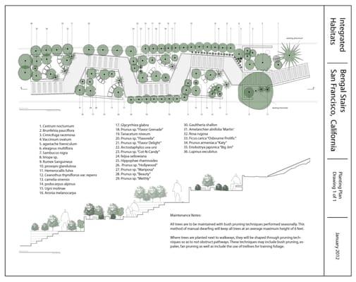 Public Street Park - Fruit Trees and Edibles