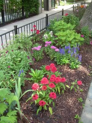 Revamped parkway in Bucktown.