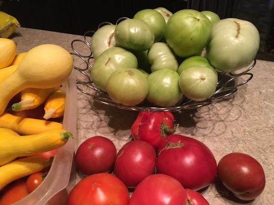 Tomatoes and squash